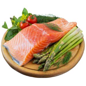 Granule pro psy TYGERO 65 s Lososem - pro štěňata středních plemen - 2kg